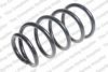 ROC CS8139 Coil Spring